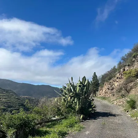 Cuevas La Solana Honorata